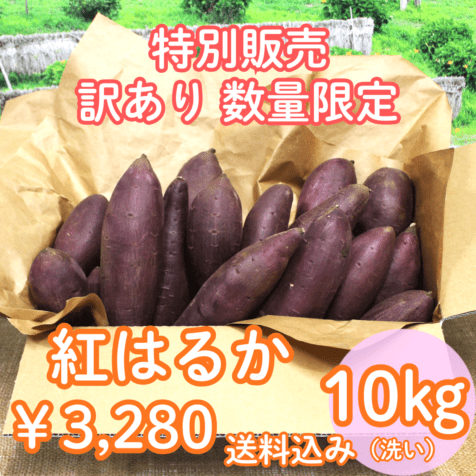 5月中旬から発送『なめがたさんちの熟成さつまいも（紅はるか）【約10kg 】』【大きさお任せ・洗い】※送料込み※日付指定不可