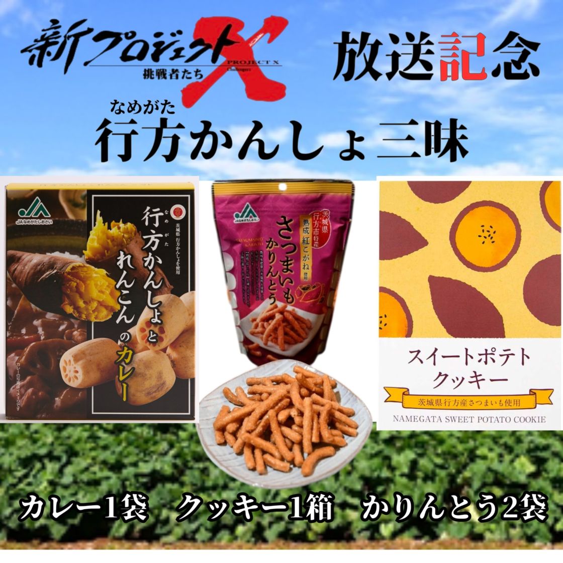 【新プロジェクトX放送記念】【★期間限定・特価価格★】行方（なめがた）かんしょ三昧