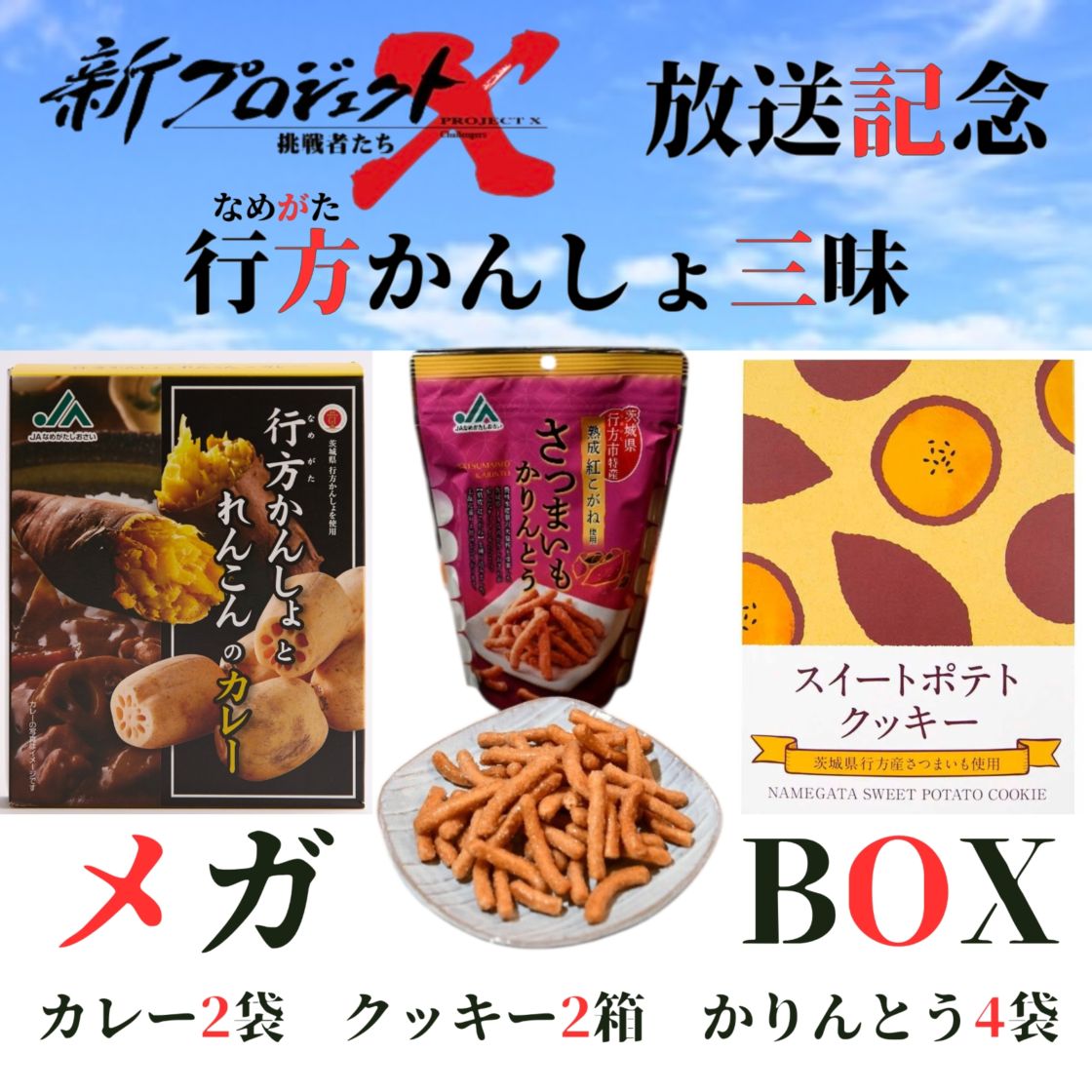 【新プロジェクトX放送記念】【★期間限定・特価価格★】行方（なめがた）かんしょ三昧 メガBOX