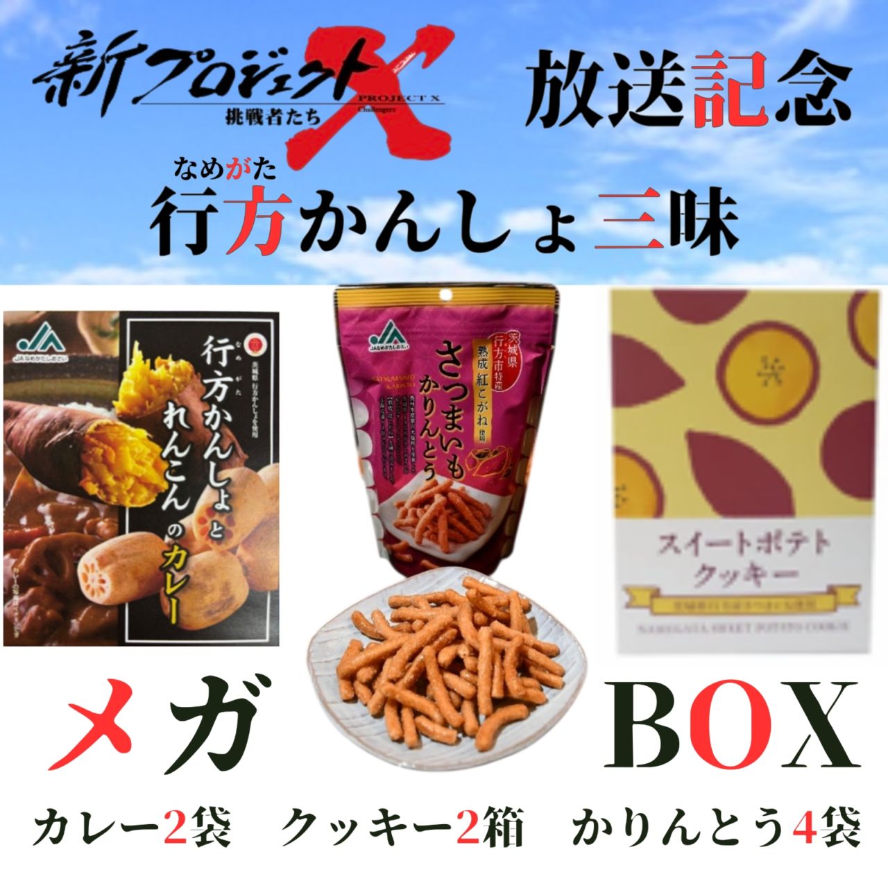 【新プロジェクトX放送記念】【★期間限定・特価価格★】行方（なめがた）かんしょ三昧 メガBOX