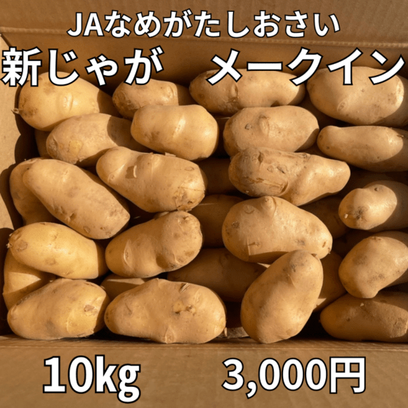 【ＪＡ産】新じゃが「メークイン」10kg