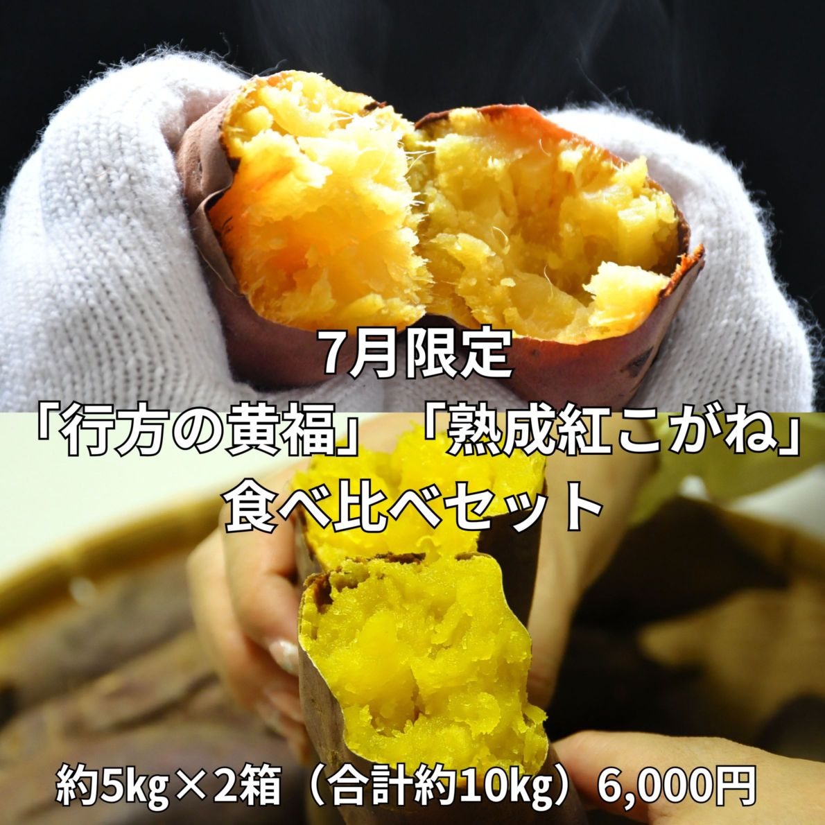 【JAなめがたしおさい】「行方の黄福」と「熟成紅こがね」食べ比べ　約10㎏（7月限定）