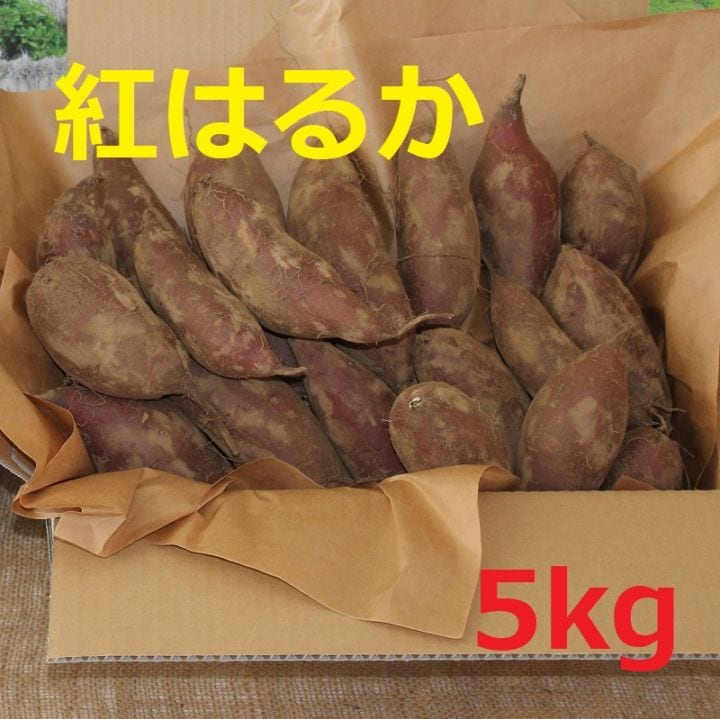10月から順次発送【土付き・大きさお任せ】『なめがた台地の紅はるか（新芋）』送料込み【５ｋg 】