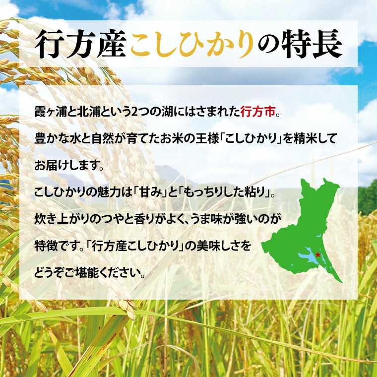 行方産こしひかり　１０kg 　※精米【数量限定・送料込み】