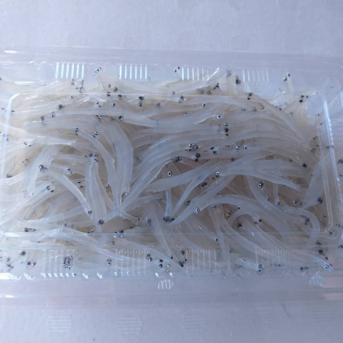 ヤマイ水産 湖 かわ の輝き 新鮮 霞ヶ浦産生シラウオ 600ｇ 魚 なめがたさんちの特選マルシェ