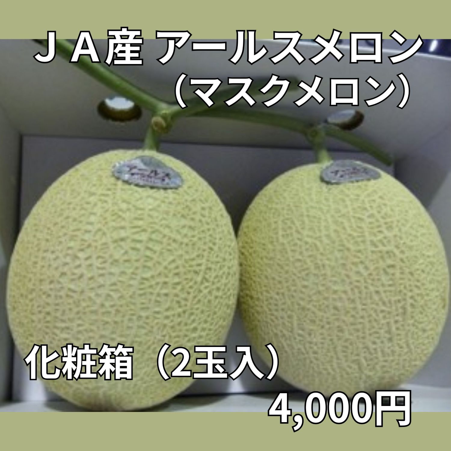 ぴーちゃん　アールスメロン JAなめがたしおさい】JA産「アールスメロン（マスクメロン）」化粧箱