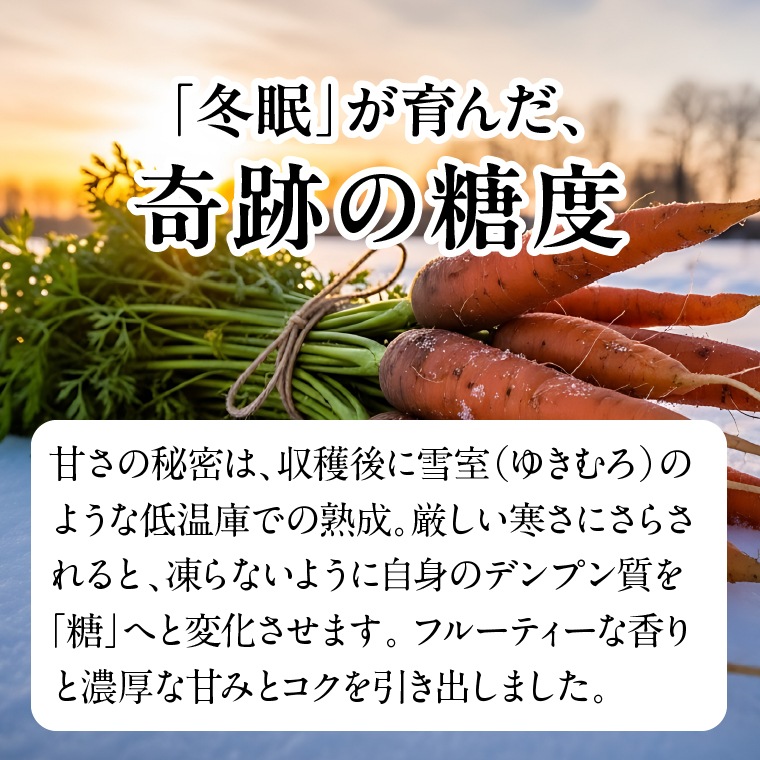 濃厚にんじんジュース　３本セット　～行方市産アロマレッド～