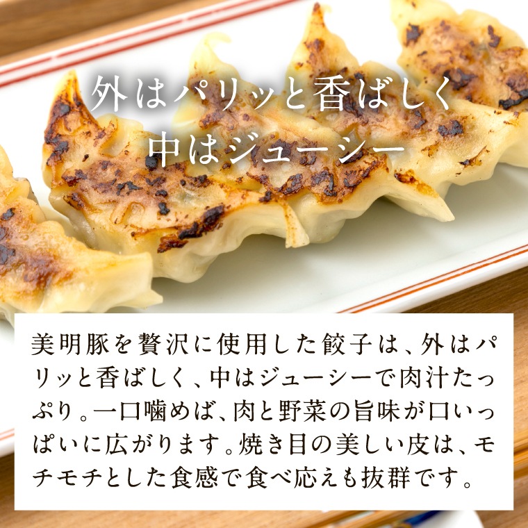 スープ餃子にもなる「美明豚（びめいとん）餃子　１袋　３０個入り」博多とんこつスープ３袋付き