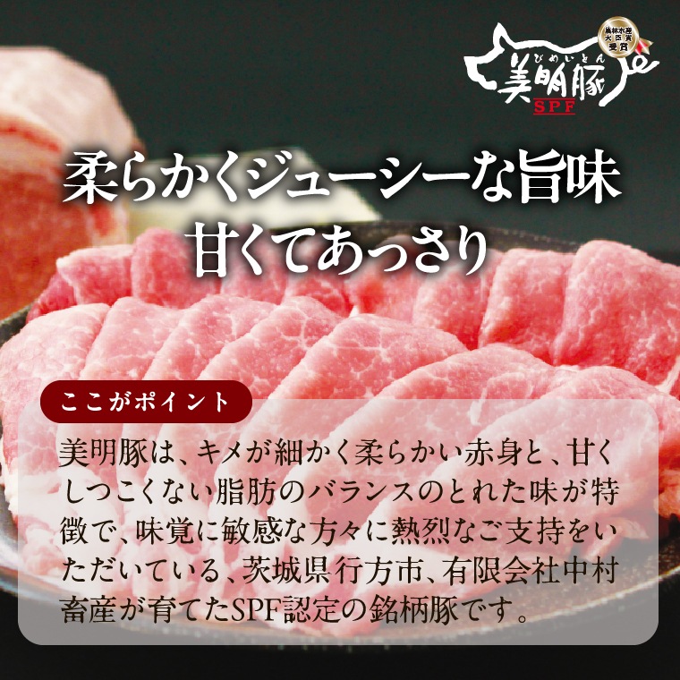 スープ餃子にもなる「美明豚（びめいとん）餃子　２袋　（３０個×２袋）入り」博多とんこつスープ３袋×２　付き