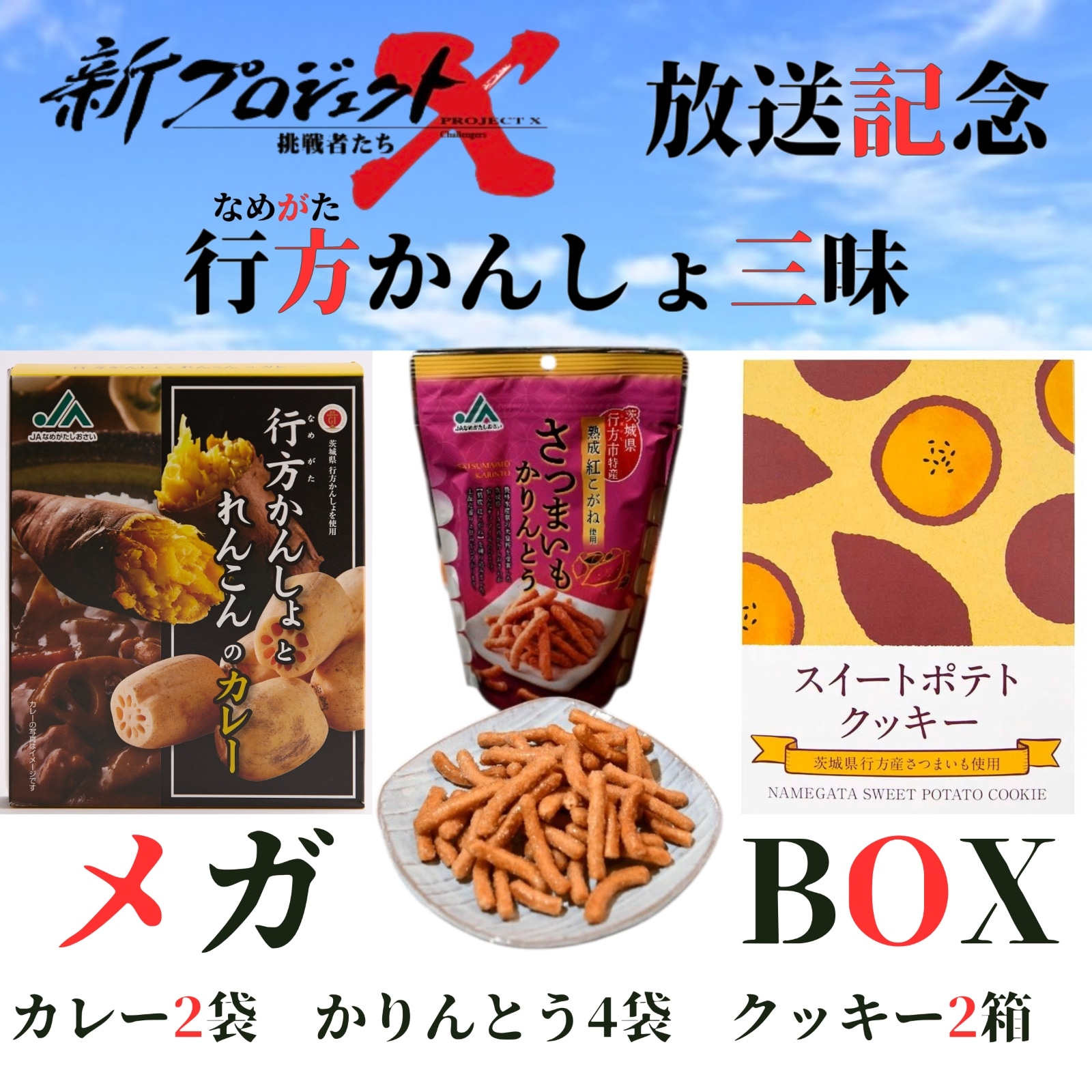 【新プロジェクトX放送記念】【★期間限定・特別価格★】行方（なめがた）かんしょ三昧 メガBOX
