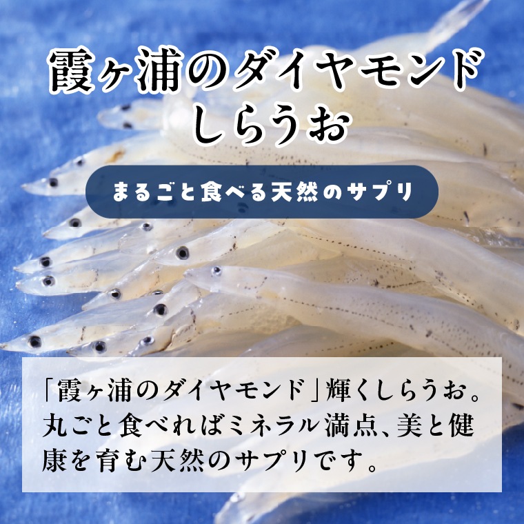 カルシウム　しらうおせんべい　３袋セット