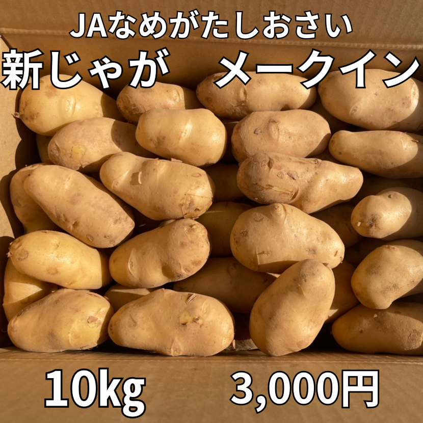 JA産】新じゃが「メークイン」10kg | JAなめがたしおさい,野菜