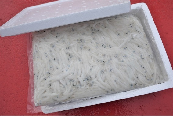 霞ヶ浦産生シラウオ 凍結品 魚 その他 なめがたさんちの特選マルシェ