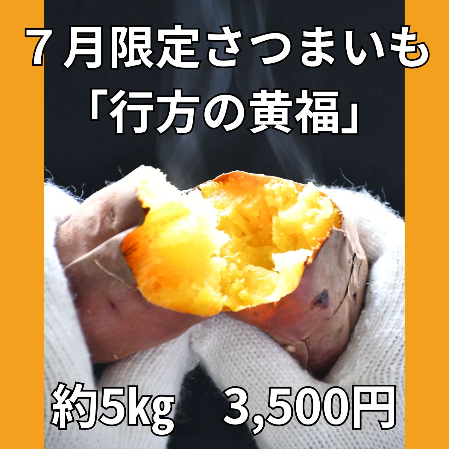 【JAなめがたしおさい】希少な新品種！7月限定「行方の黄福」さつまいも　約5㎏