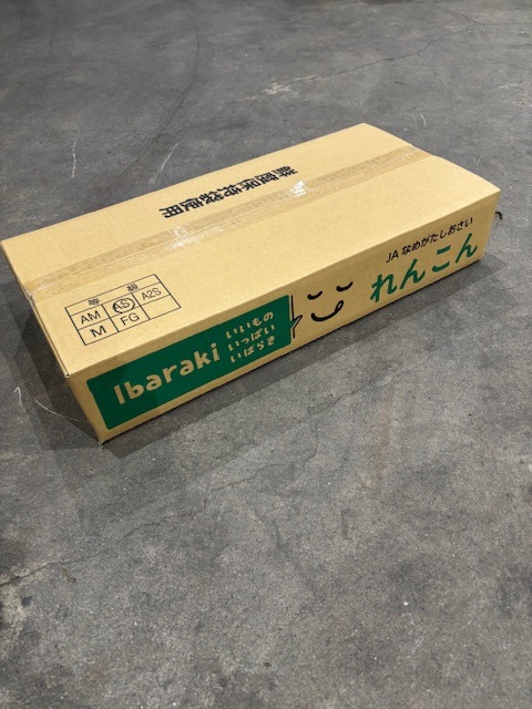 【JAなめがたしおさい】直送　れんこんAS　4㎏（小ぶりサイズ）12節程度