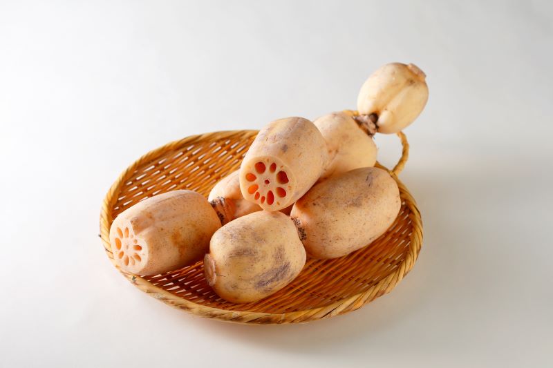 【JAなめがたしおさい】直送 れんこん 4㎏