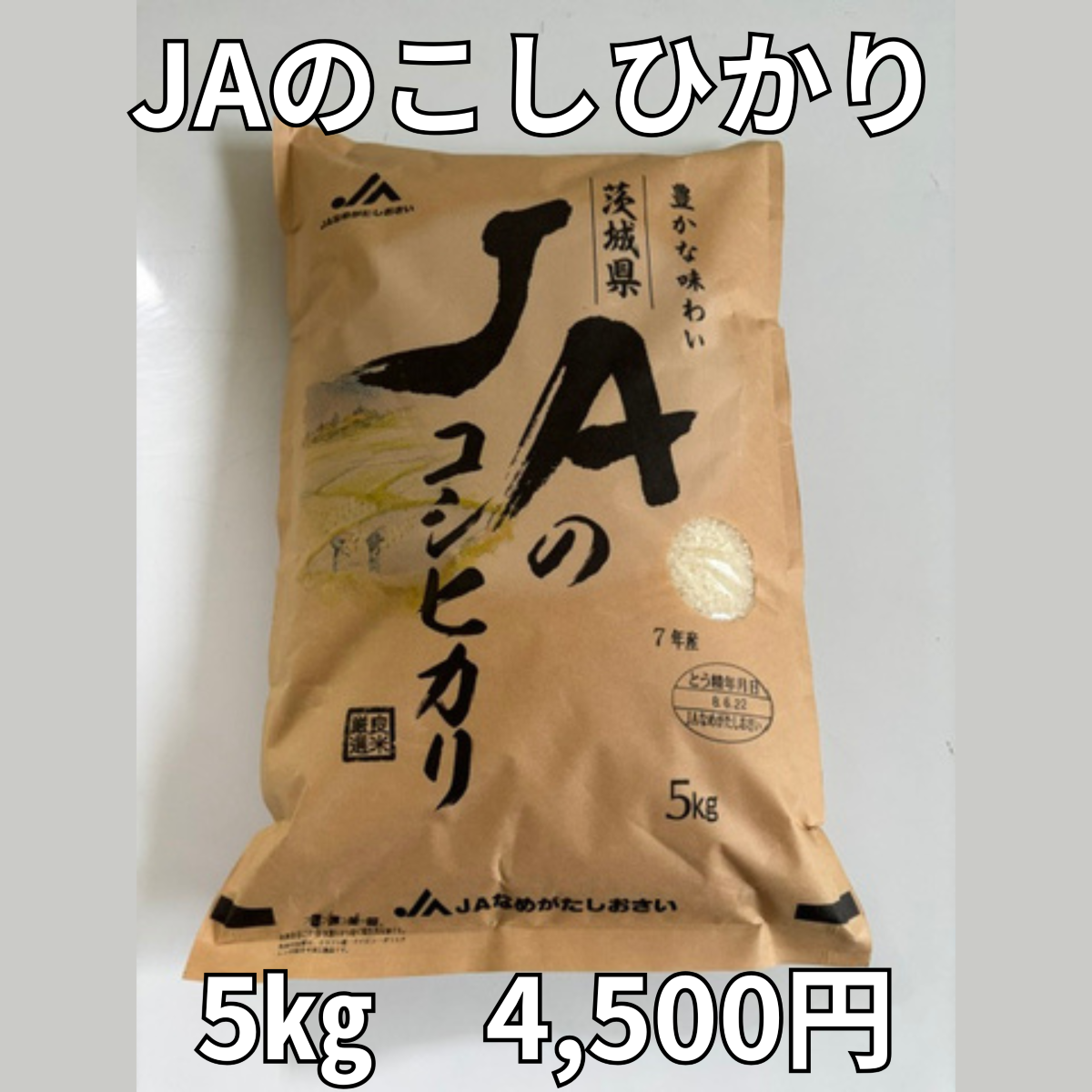 JAのこしひかり 5㎏