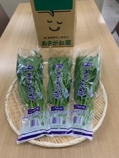 【ＪＡなめがたしおさい】「あさがお菜（空芯菜）」（20袋入）