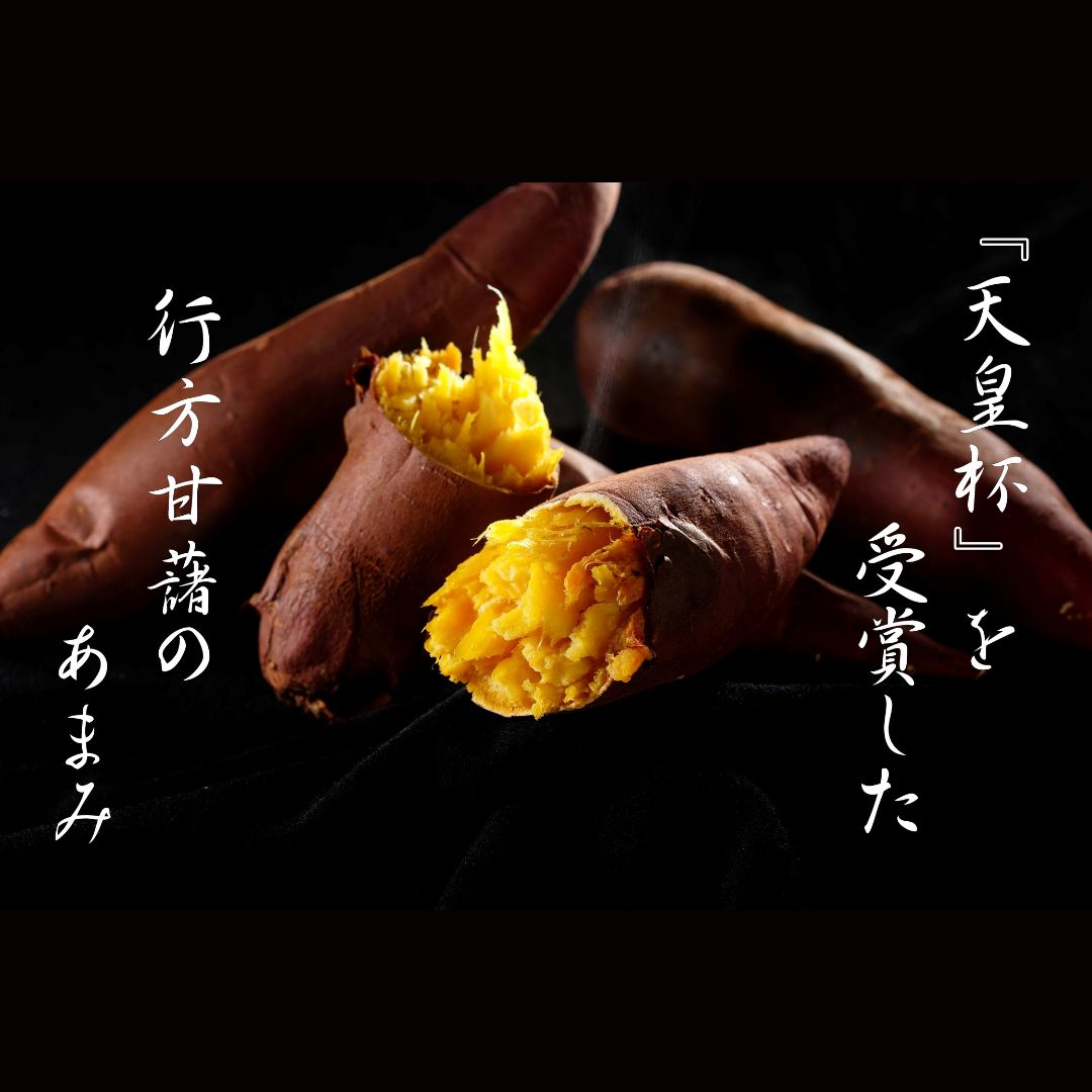 【JAなめがたしおさい】~GI登録「さつまいも」使用~ 「行方かんしょとれんこんのカレー」18箱　「パックご飯」18個セット