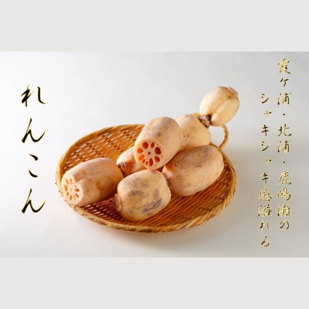 【JAなめがたしおさい】~GI登録「さつまいも」使用~ 「行方かんしょとれんこんのカレー」18箱　「パックご飯」18個セット