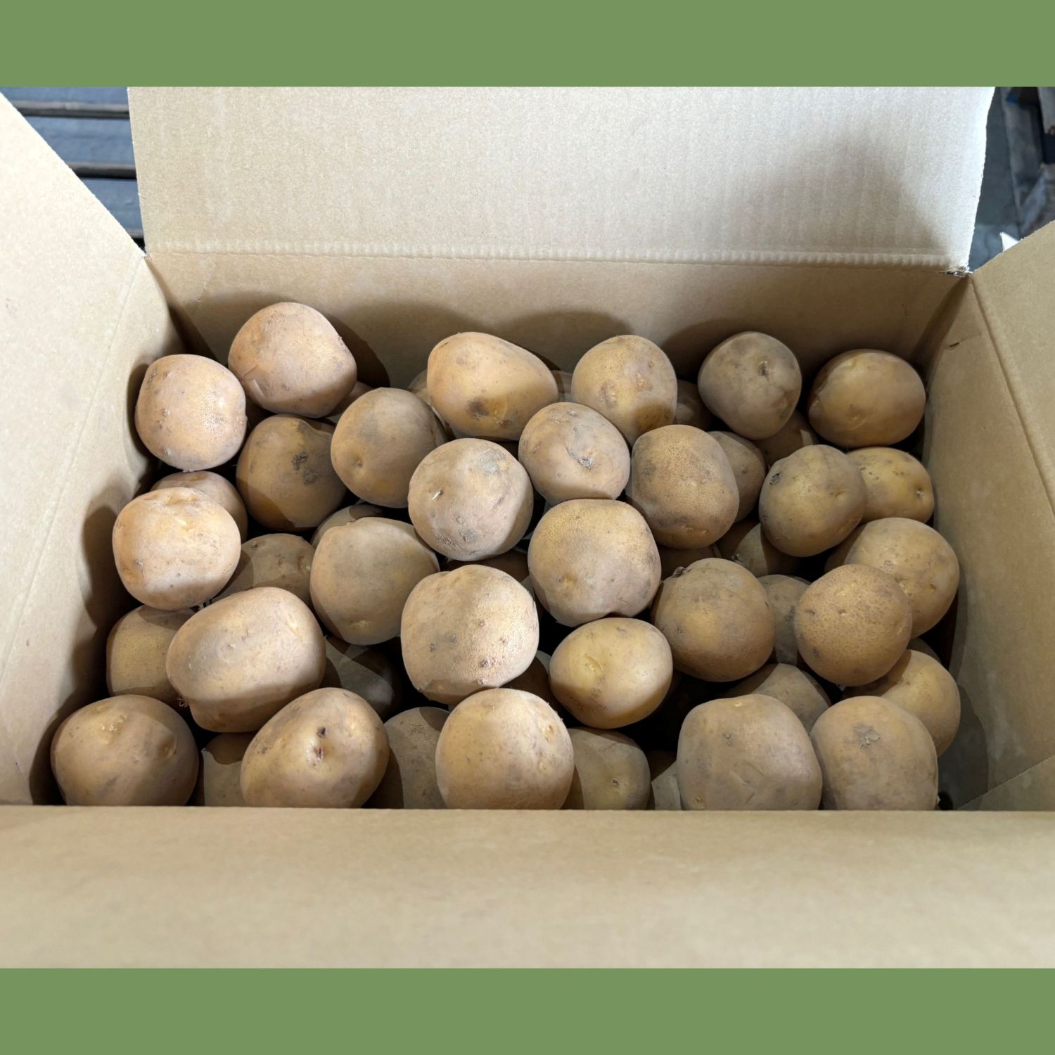 【JA産】新じゃが「とうや」10kg