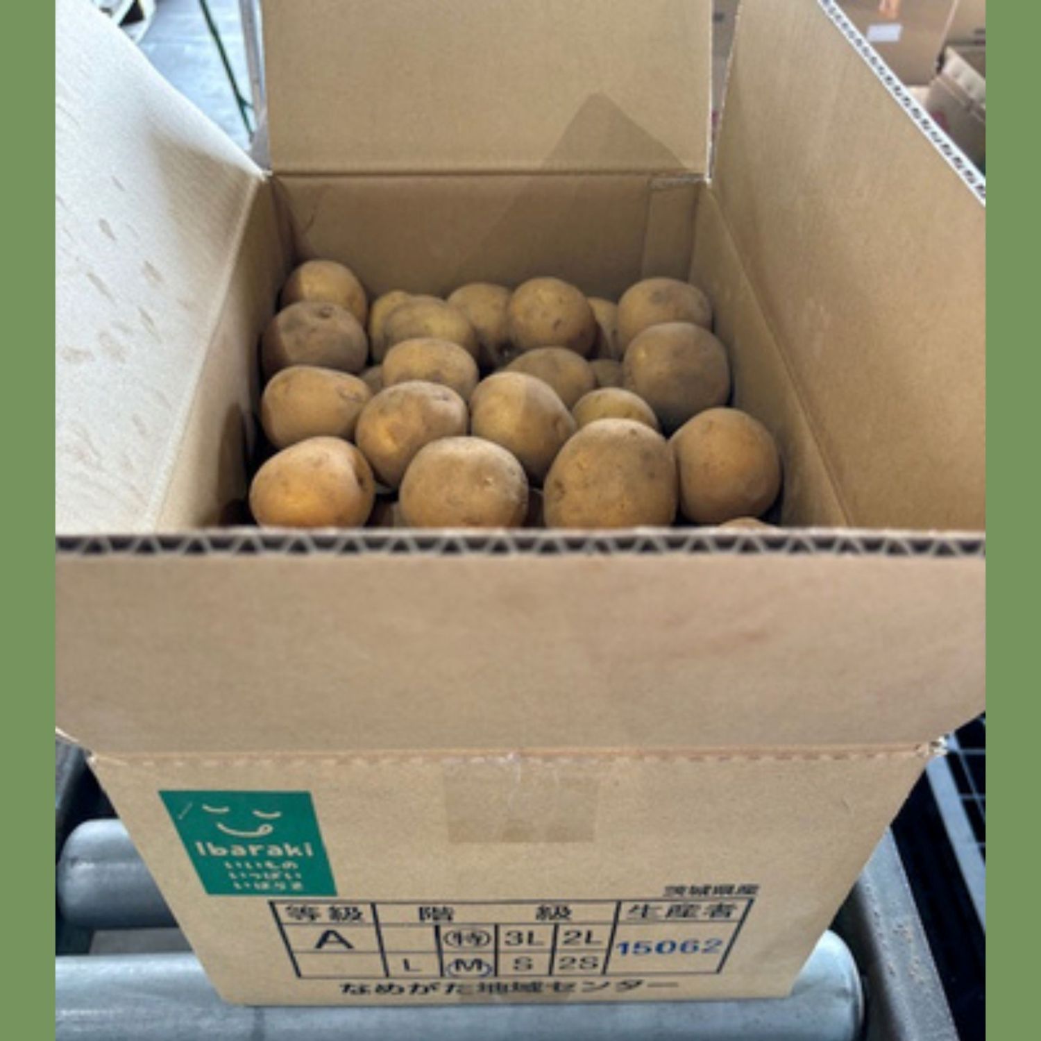 【JA産】新じゃが「とうや」10kg