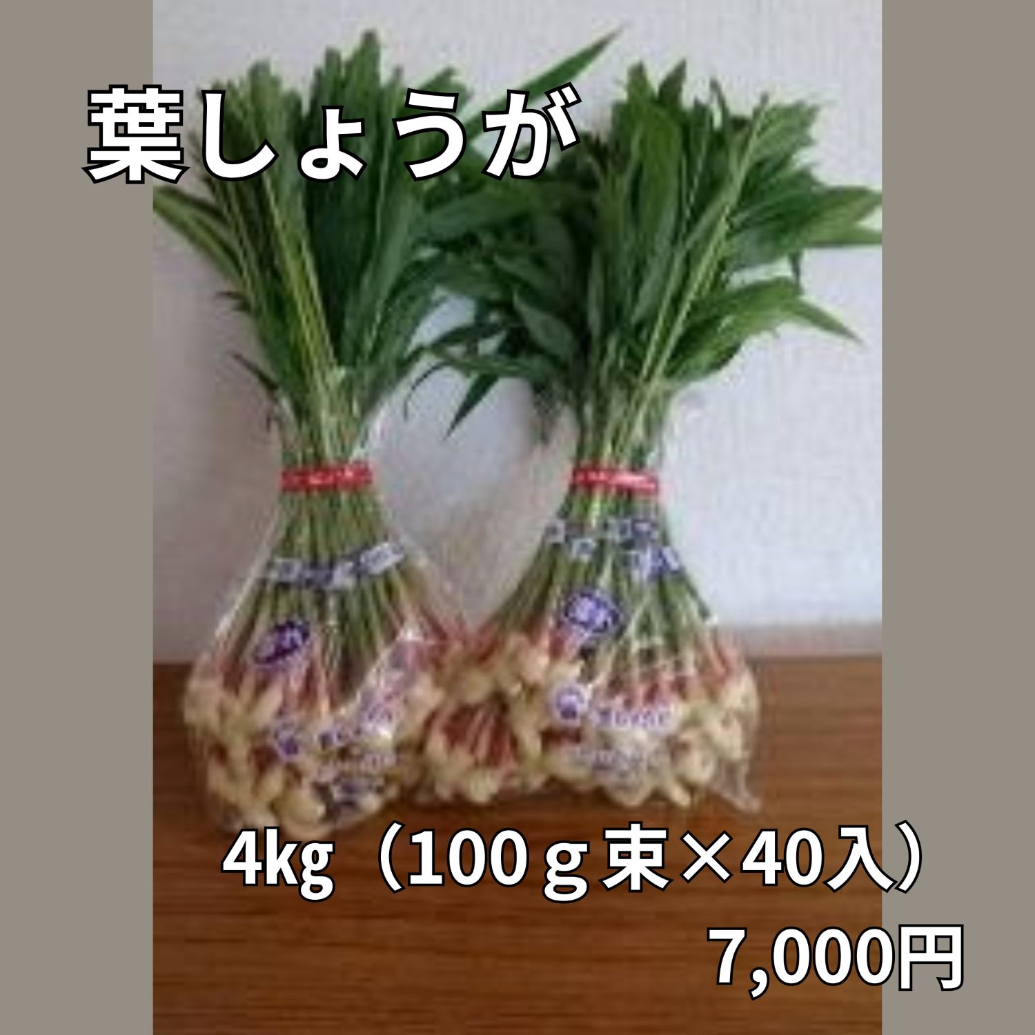 【JA産】「葉しょうが」(4kg)