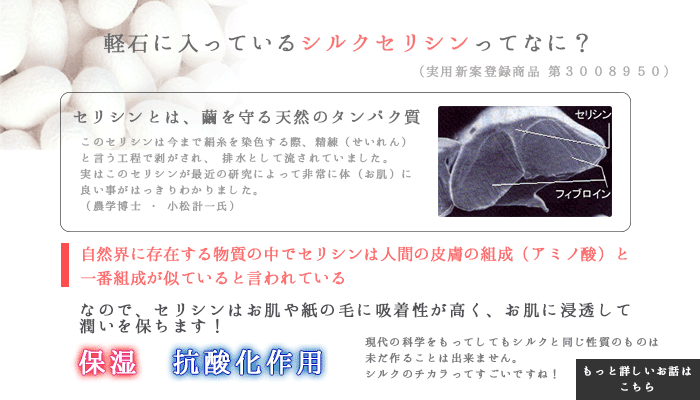 �ڤ����ʣ��ĥ��åȡۥ��륯���ꥷ���۹�η��Сݸ�ɱ��