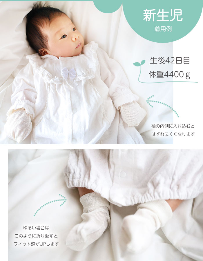��񻺥��륯�٥ӡ����å������ߥȥ�