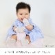 ��񻺥��륯�٥ӡ����å������ߥȥ�