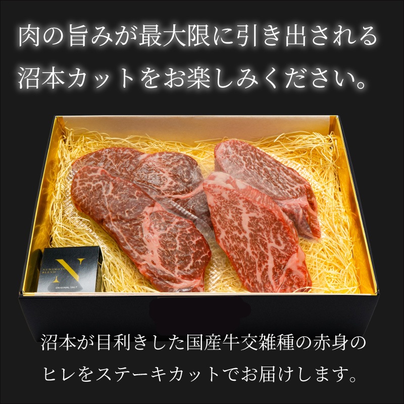 【The Class会員限定】沼本カット 国産牛赤身ヒレ600ｇとオリジナルソルトのセット