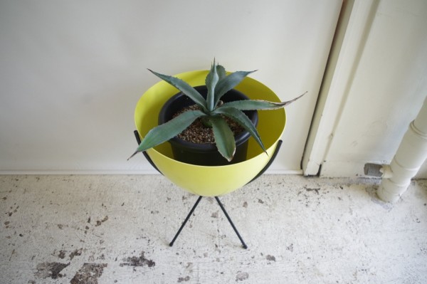 ミッドセンチュリー  バレットプランター BOLIG[ボーリ]