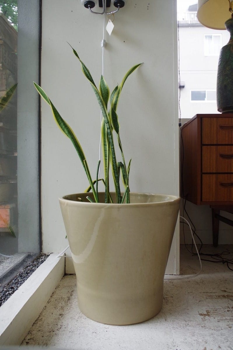 ゲイニーセラミクス社製ポタリープランター