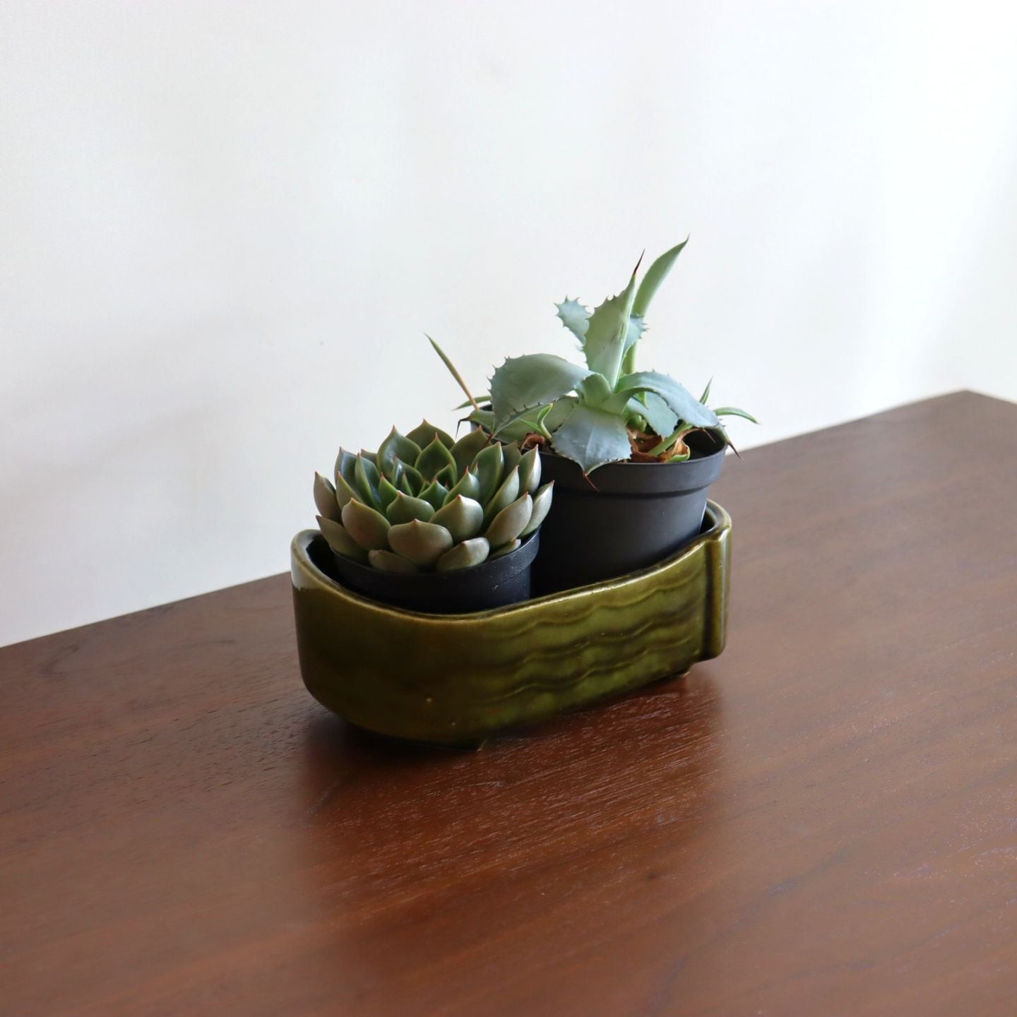 グリーンポタリープランター