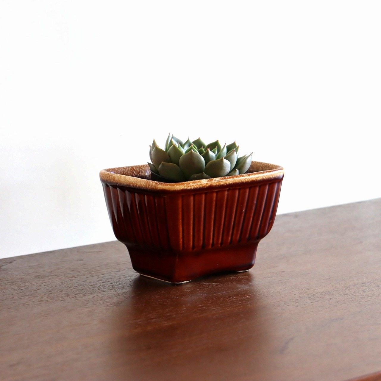 hull社製ポタリープランター