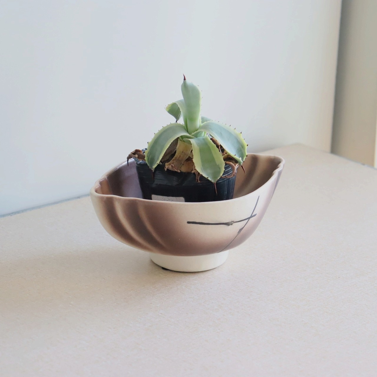 ポタリープランター