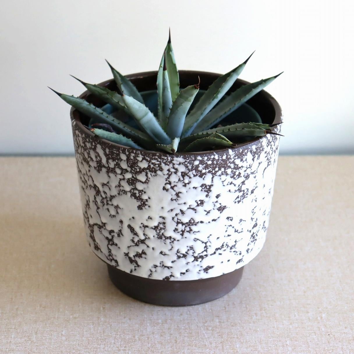 ファットラヴァプランター