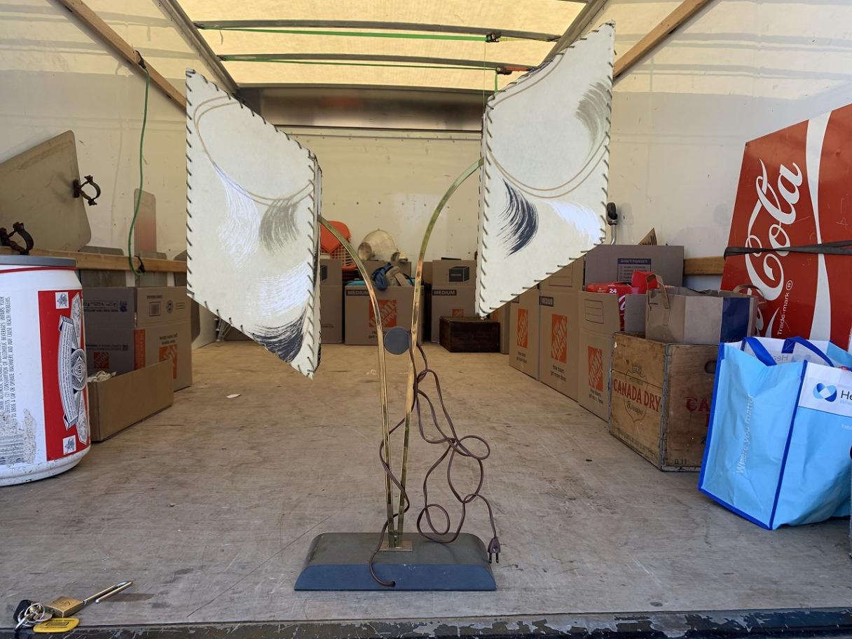 マジェスティックランプ