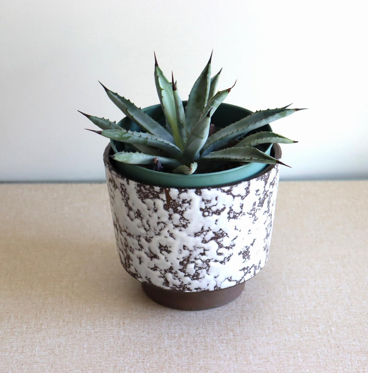 ファットラヴァプランター