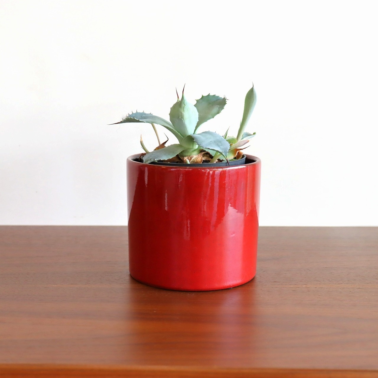 レッドポタリープランター
