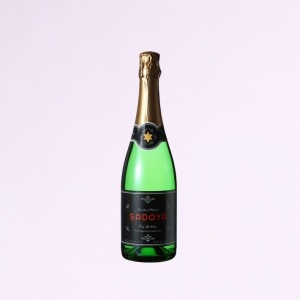 ���ɥ䡡�ɥ饤���ѡ�����󥰡���720ml