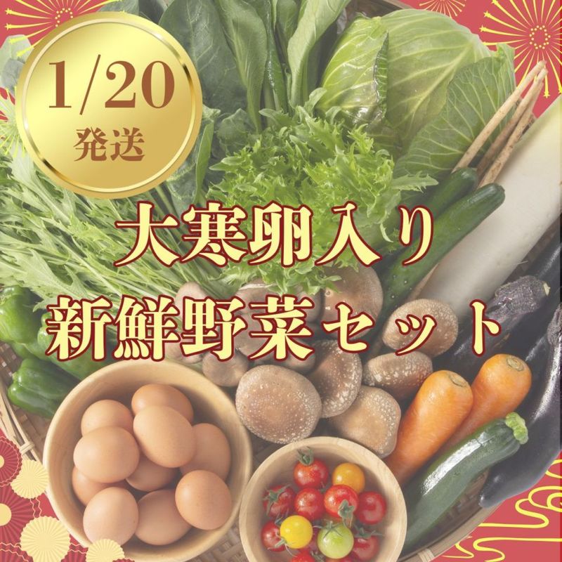 【大寒卵入り】【送料無料】新鮮野菜セット　旬の野菜詰め合わせ！1/20発送