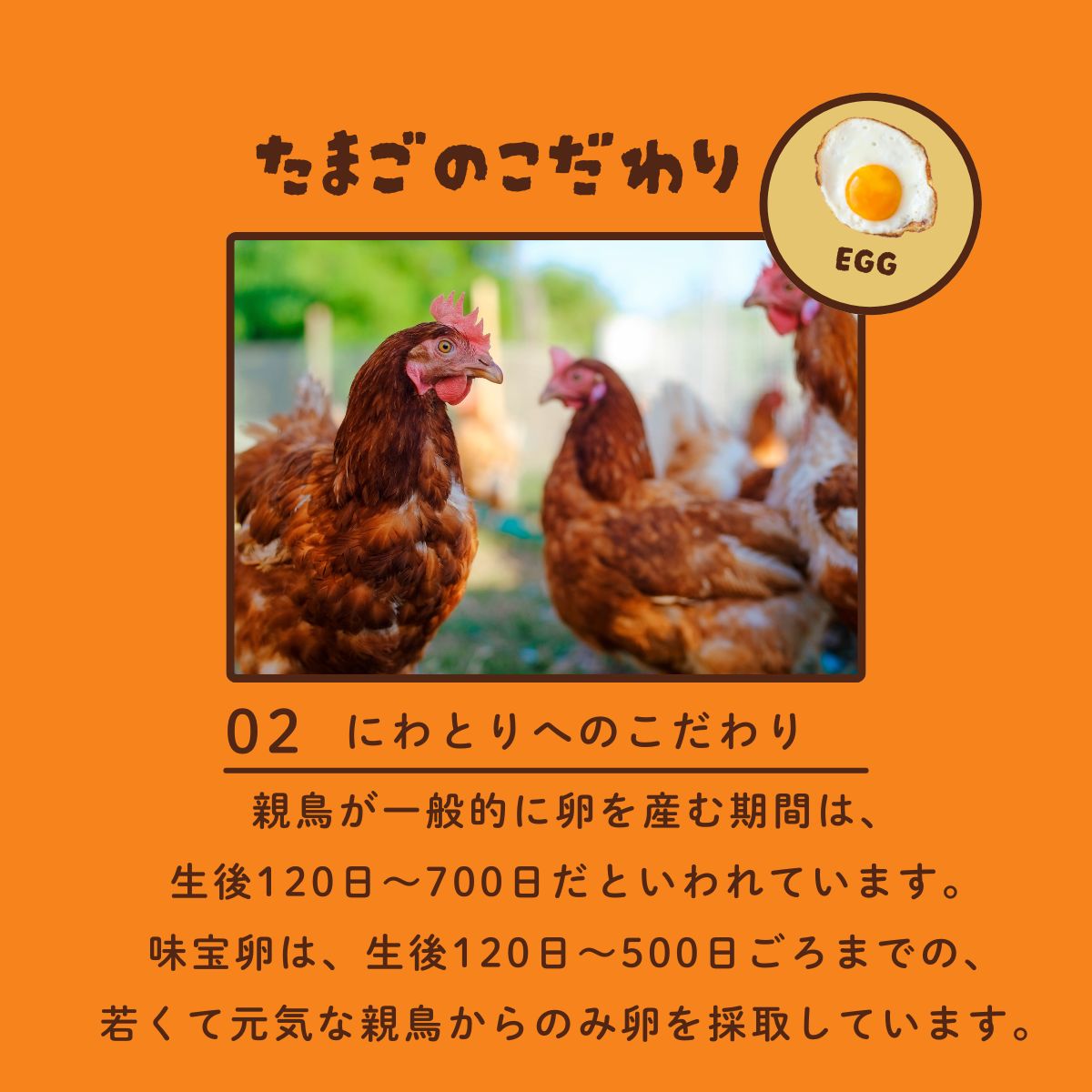 味宝卵 20個入り