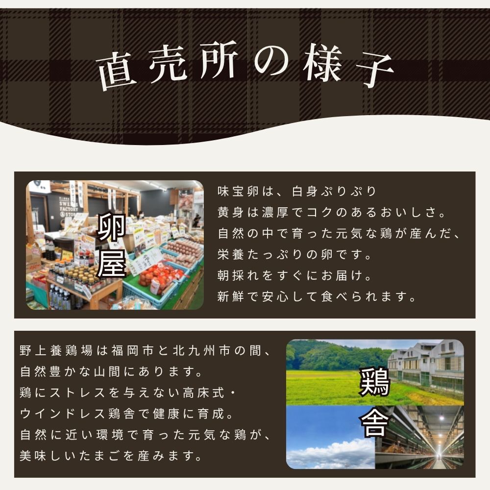 新鮮野菜セット 旬の野菜詰め合わせ！たまご10個入り＋月替わりのおまけ1品付き