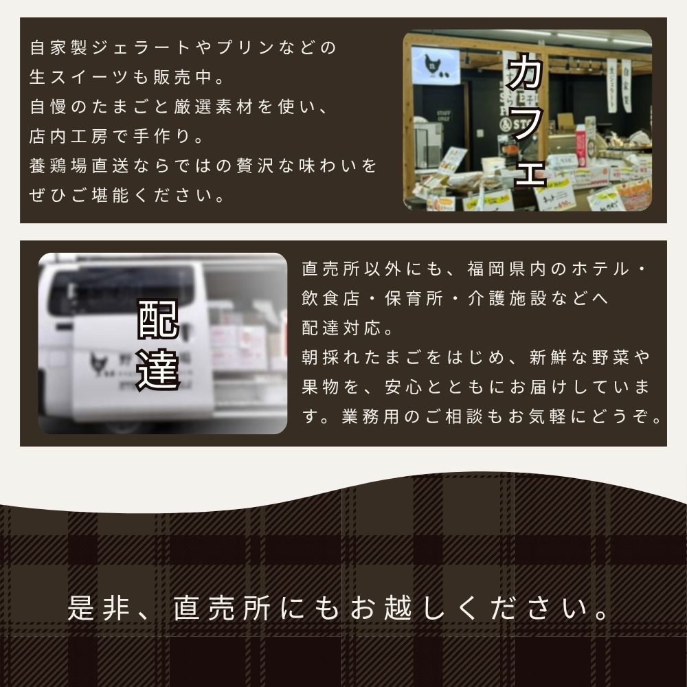 新鮮野菜セット 旬の野菜詰め合わせ！たまご10個入り＋月替わりのおまけ1品付き