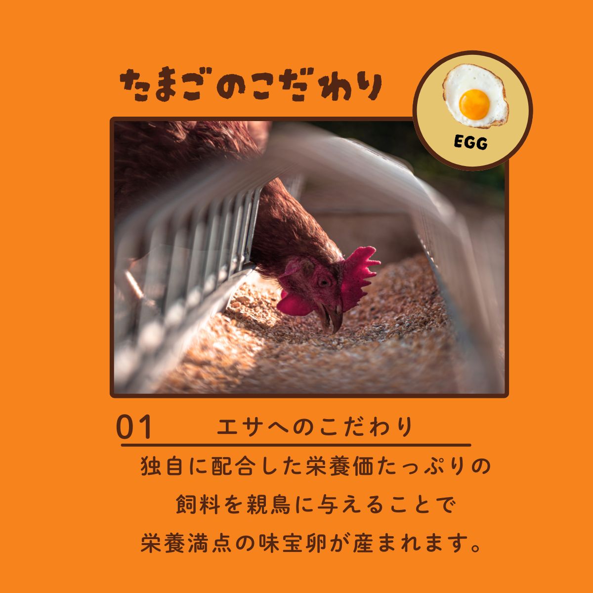 味宝卵　30個入り