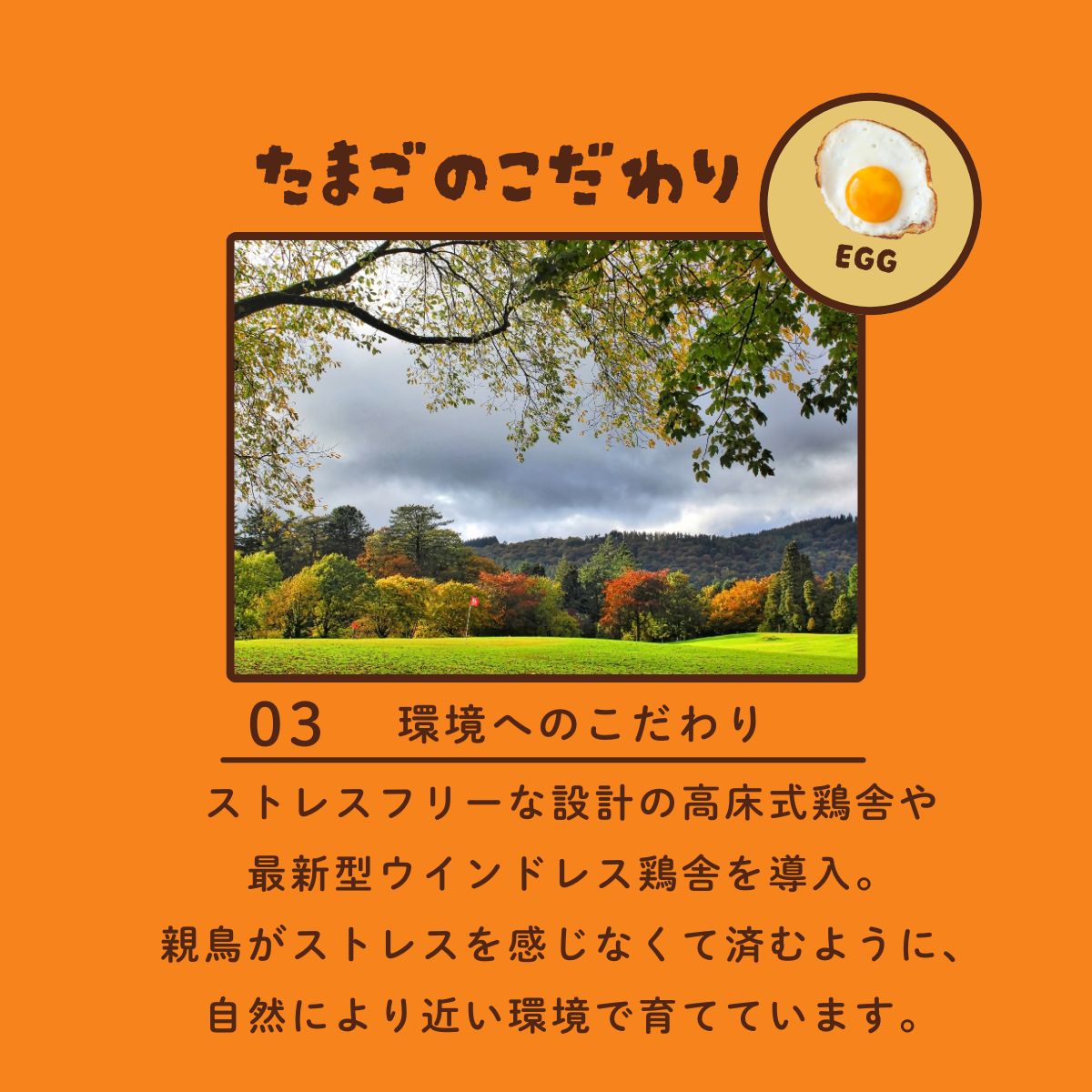 味宝卵　30個入り