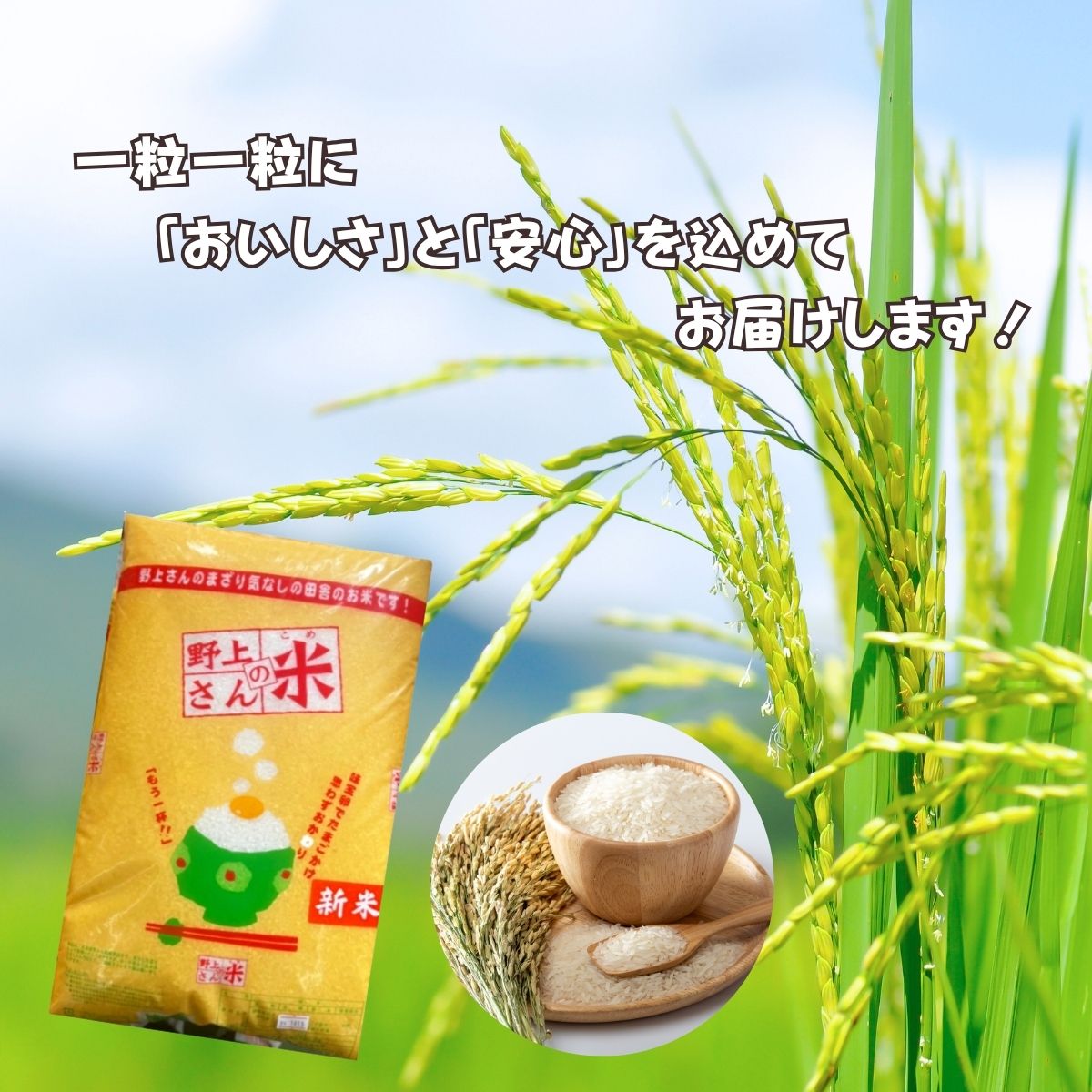 野上さんちのお米5ｋｇ