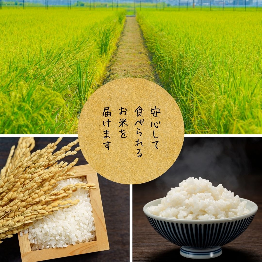 野上さんちのお米5ｋｇ