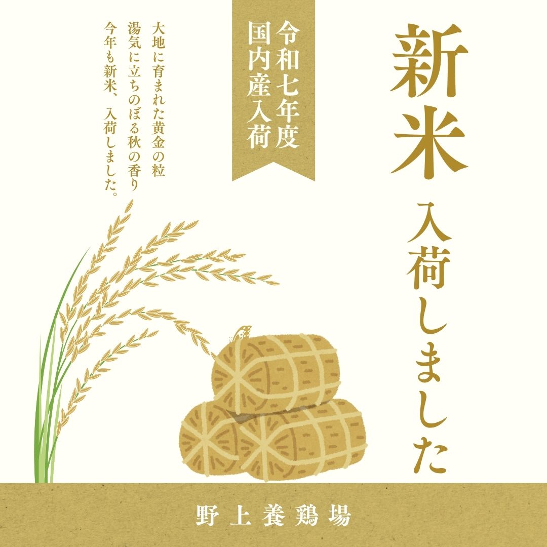 野上さんちのお米10kg